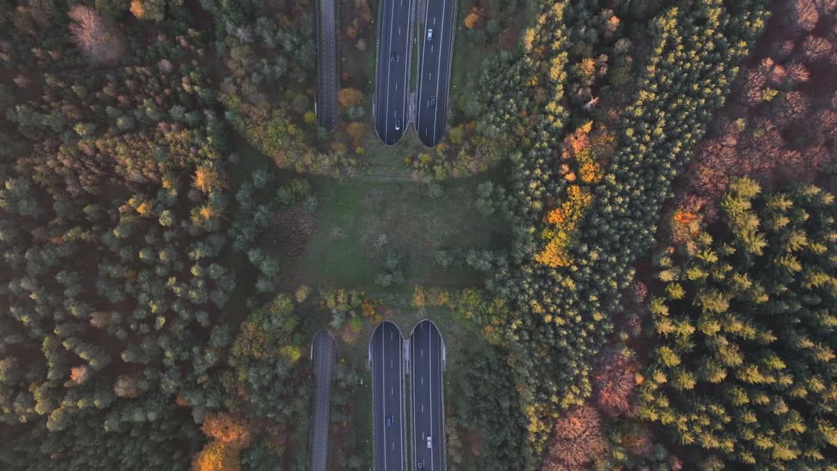 Kfz-Gutachter Schramberg – Einsatzgebiet im Schwarzwald