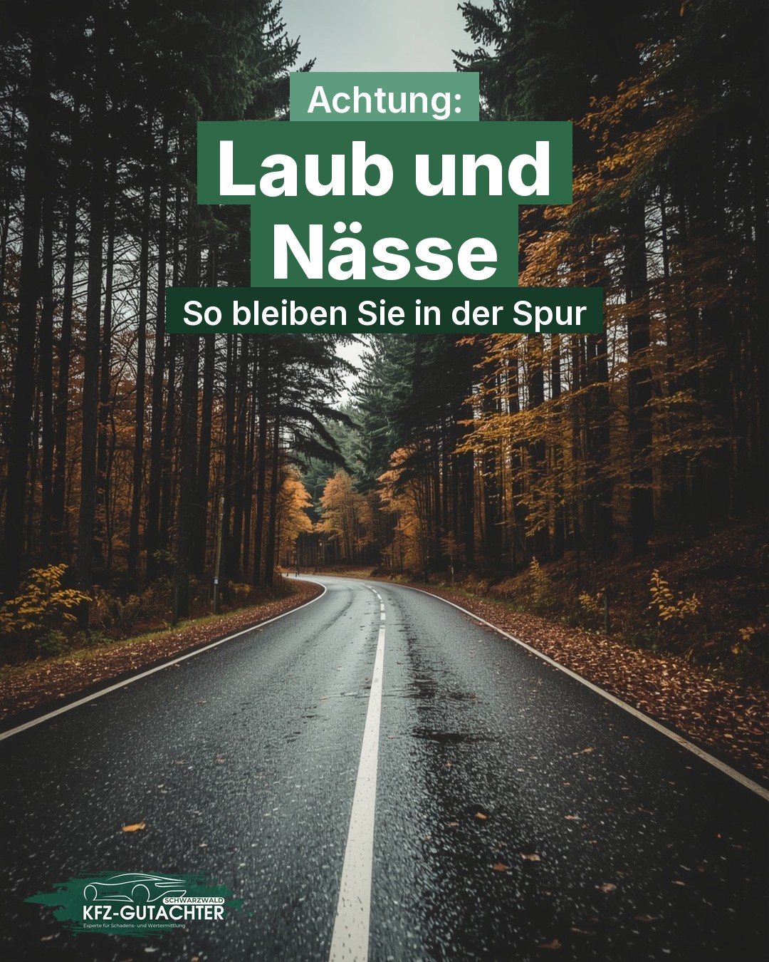 Infografik: Nasse Waldstraße im Schwarzwald mit Herbstlaub am Fahrbahnrand, darüber der Text „Achtung: Laub und Nässe – So bleiben Sie in der Spur“
