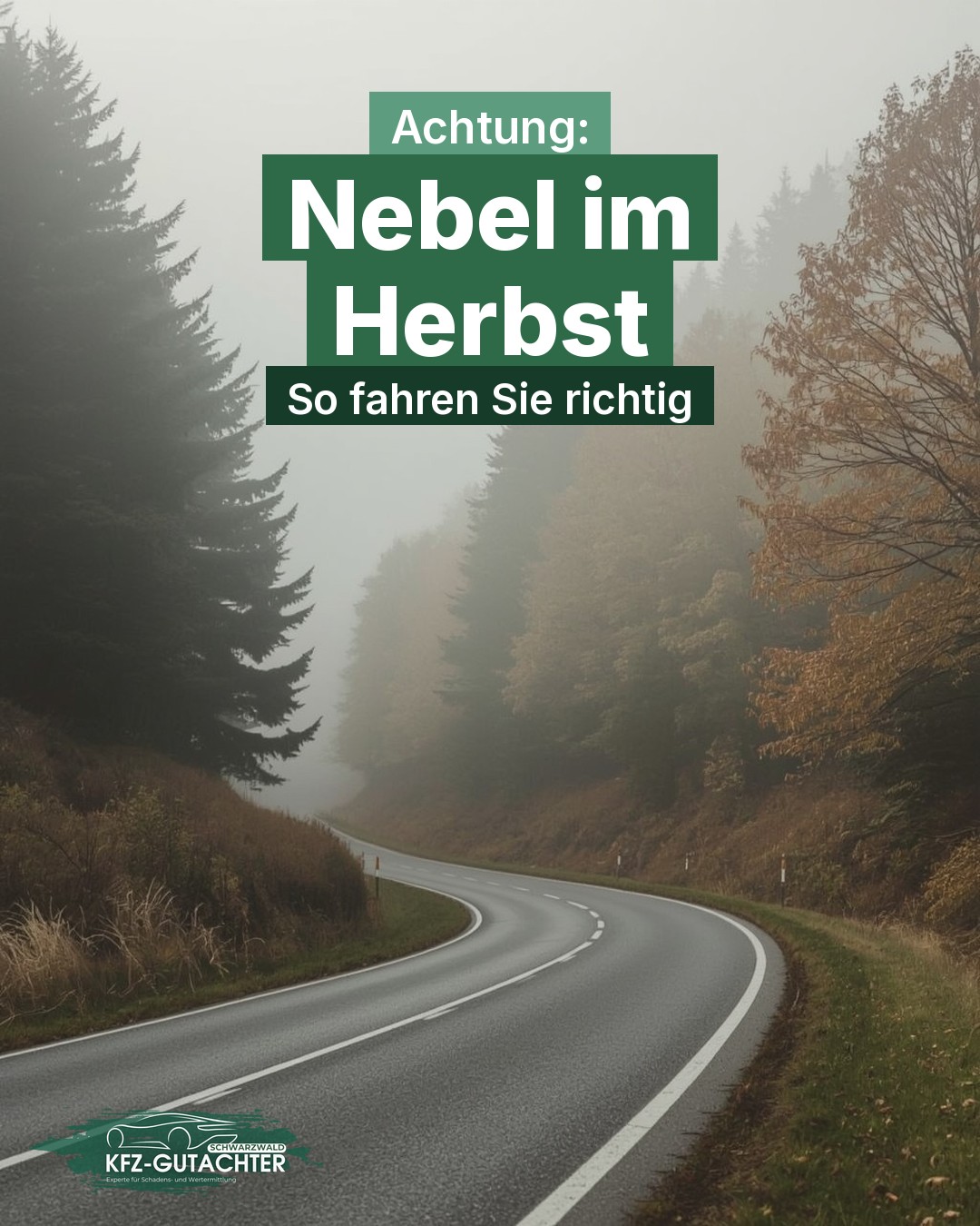 Infografik: Kurvige Straße im Schwarzwald im dichten Herbstnebel, darüber der Text „Achtung: Nebel im Herbst – So fahren Sie richtig“