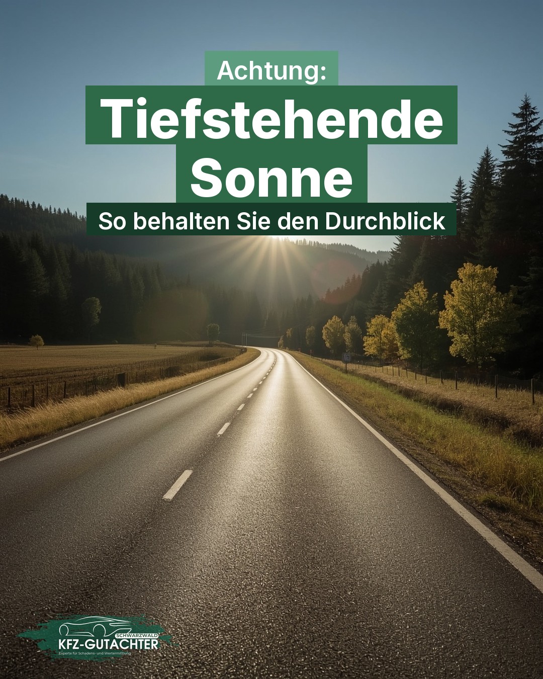 Infografik: Landstraße im Schwarzwald bei tief stehender Herbstsonne im Gegenlicht, darüber der Text „Achtung: Tiefstehende Sonne – So behalten Sie den Durchblick“