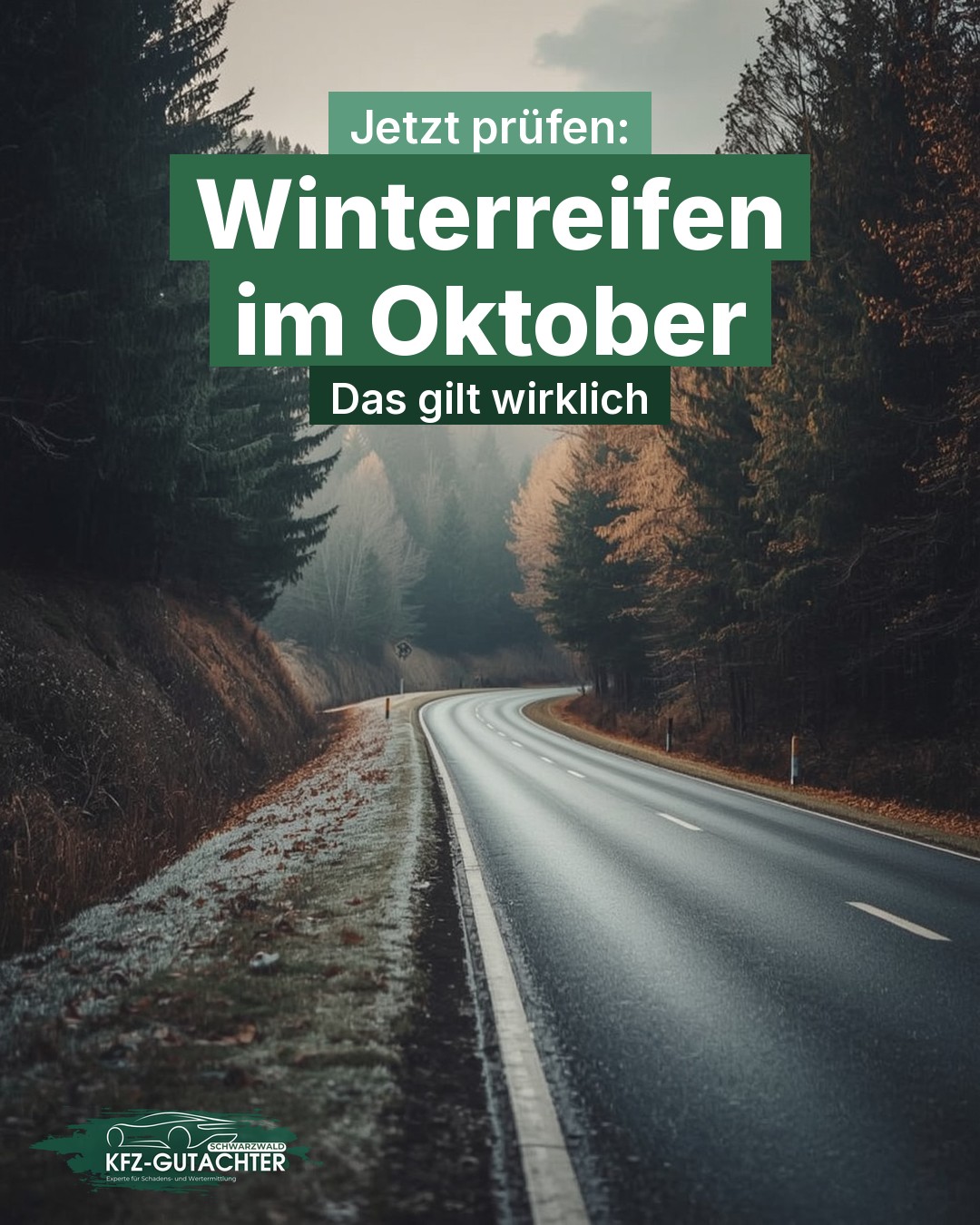 Infografik: Schwarzwaldstraße an einem kalten Herbstmorgen mit Raureif am Wegrand, darüber der Text „Winterreifen im Oktober – Das gilt wirklich“